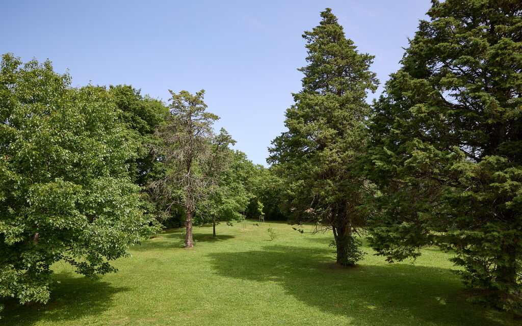 Casa Mancini, Holiday Villa, San Galgano: Autumn, Garden, Spring, Summer