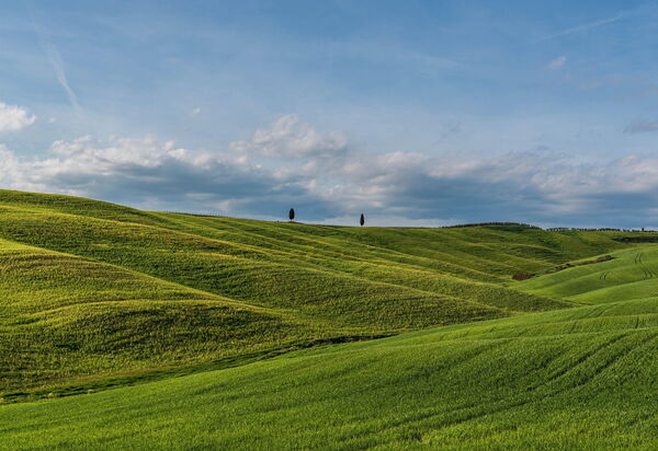 La Veduta - la Finestra su Castelfalfi: Activities, Autumn, Outdoor, Spring, Summer