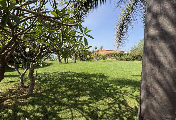 Villa Patrizia: Autunno, Estate, Giardino, Primavera