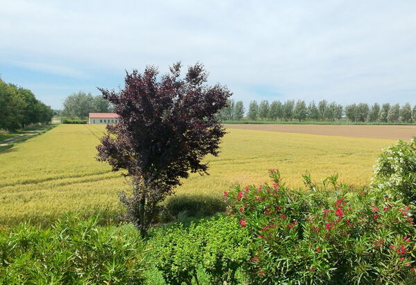 Ca' Rustica: Autumn, Spring, Summer