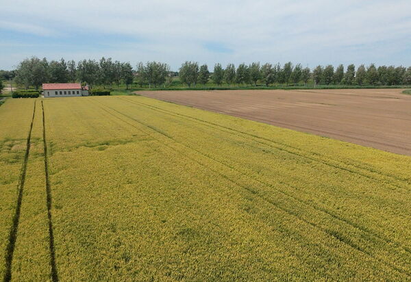 Ca' Rustica: Autumn, Spring, Summer