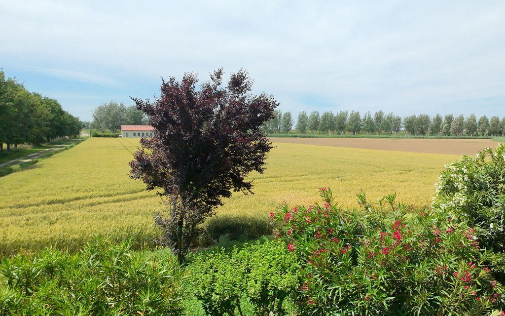 Ca' Rustica: Autumn, Spring, Summer