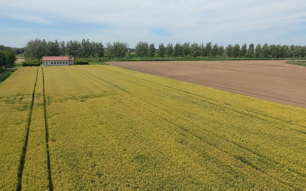 Ca' Rustica: Autumn, Spring, Summer
