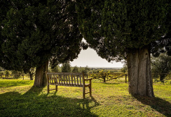 Villa Bellaria, Private Pool, Bolgheri: Autunno, Estate, Giardino, Primavera