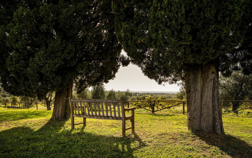 Villa Bellaria, Private Pool, Bolgheri: Autunno, Estate, Giardino, Primavera