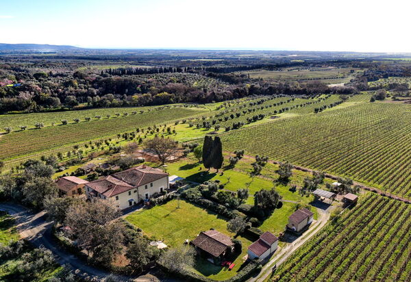 Villa Monte, Bolgheri: Autunno, Estate, Primavera, Vista Panoramica