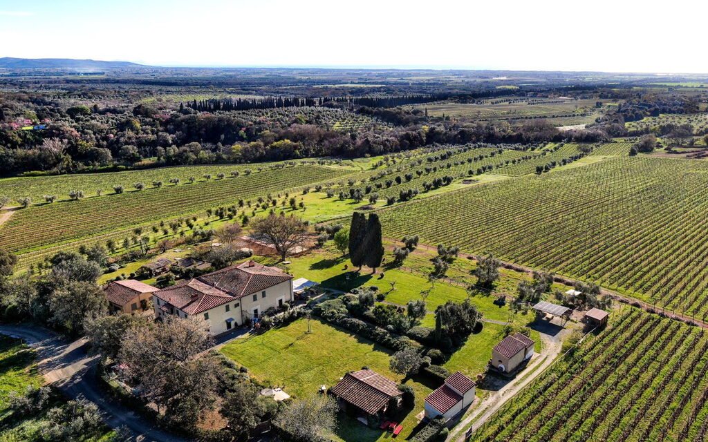 Villa Monte, Bolgheri: Autumn, Scenic View, Spring, Summer
