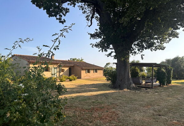 Casa Stalletta, Hot Tub, Bolgheri: Autunno, Estate, Giardino, Primavera
