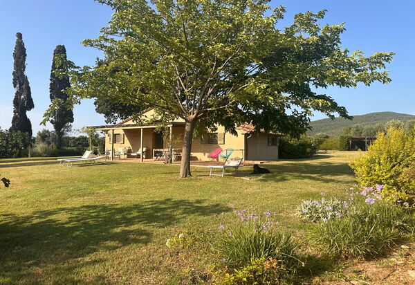 Casa Stalletta, Hot Tub, Bolgheri: Autunno, Estate, Giardino, Primavera