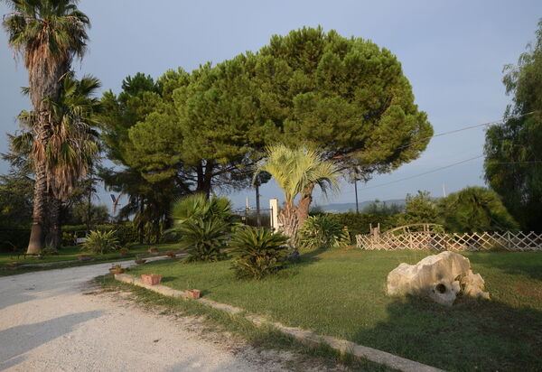 Il Cigno Reale White: Autumn, Garden, Spring, Summer