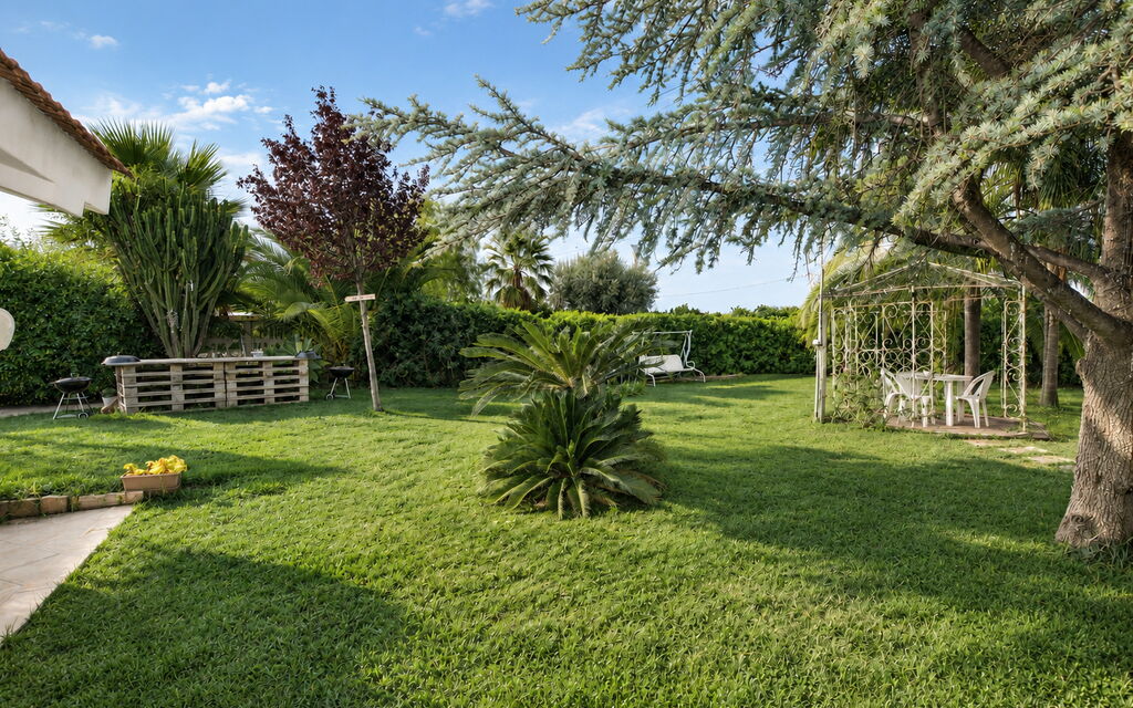 Il Cigno Reale White: Autunno, Estate, Giardino, Primavera