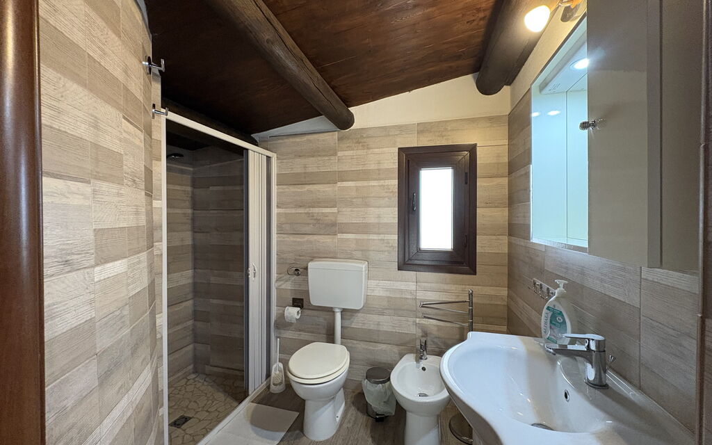 Il Cigno Reale White: Autunno, Bagno, Estate, Primavera