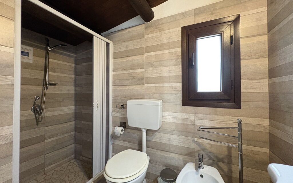 Il Cigno Reale White: Autunno, Bagno, Estate, Primavera