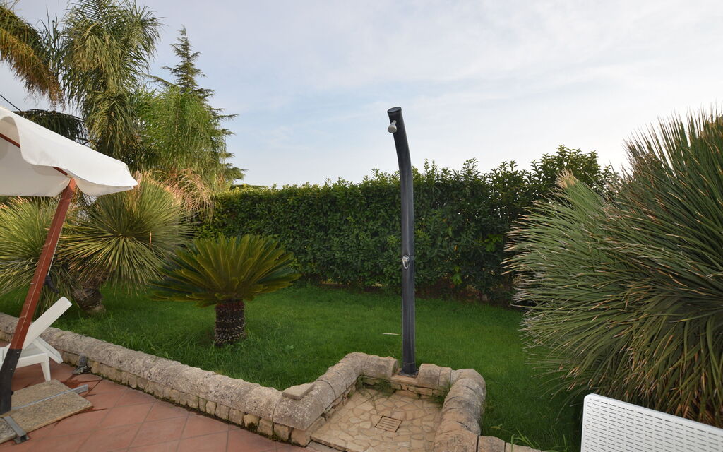 Il Cigno Reale White: Autunno, Estate, Giardino, Primavera