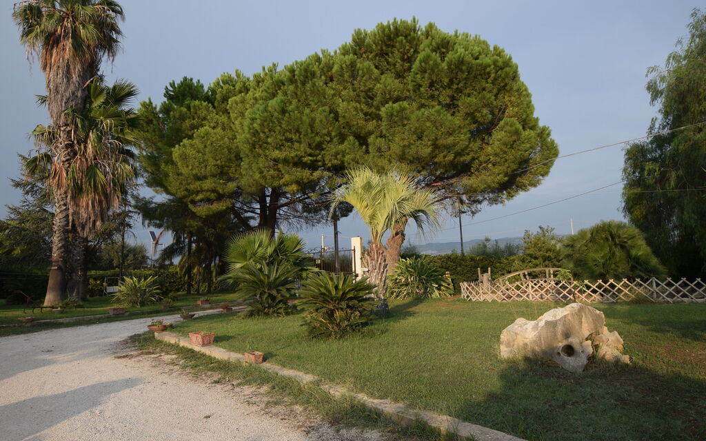 Il Cigno Reale White: Autunno, Estate, Giardino, Primavera