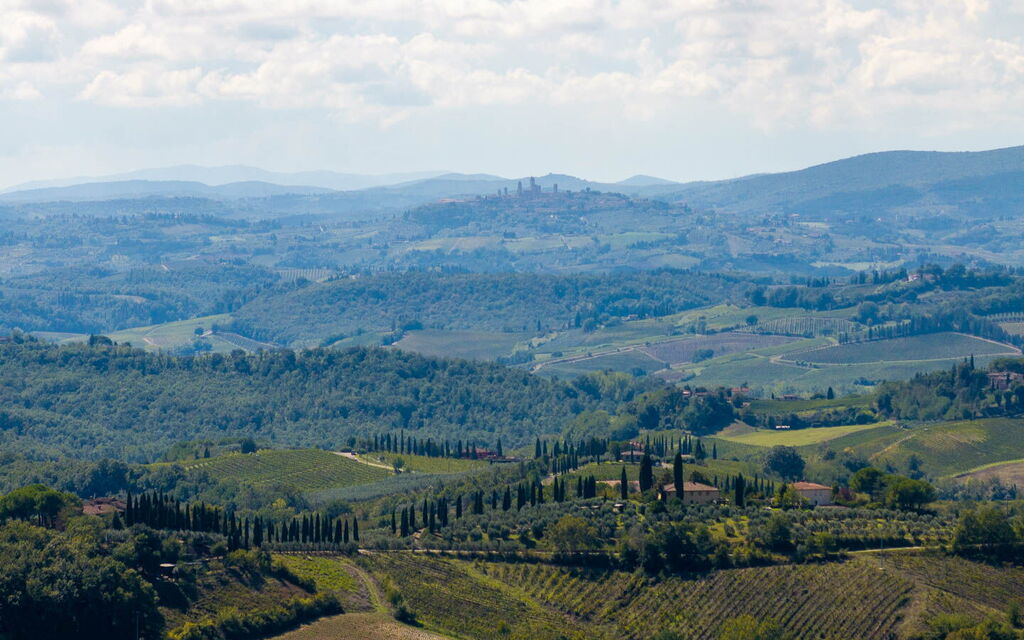 La Certaldina, Sole Apartment: Autumn, Scenic View, Spring, Summer