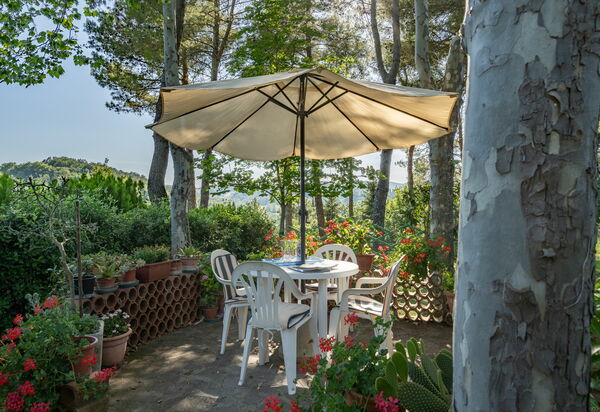 Villa Campiglia: Garden