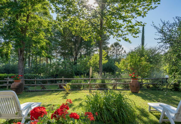 Villa Campiglia: Garden