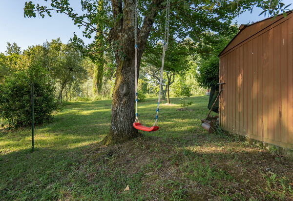Villa Campiglia: Garden
