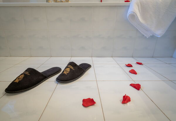 Villa Dei Marchesi: Bagno