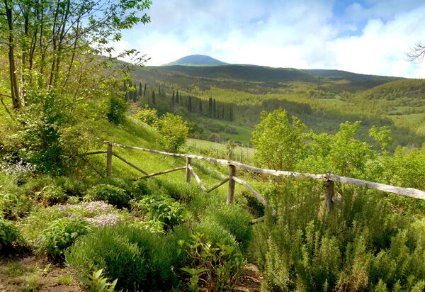 Casa Dell'ambasciatore: Autumn, Scenic View, Spring, Summer