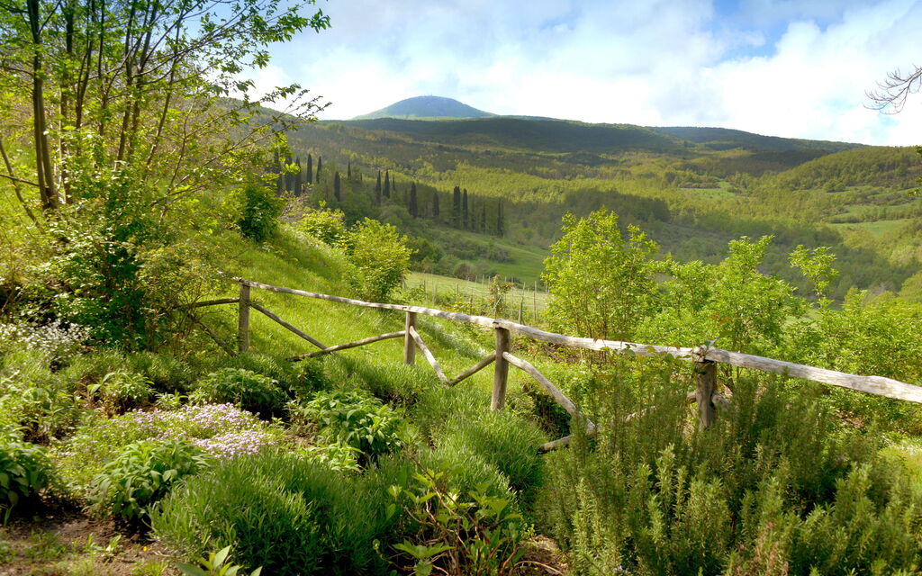 Casa Dell'ambasciatore: Autumn, Scenic View, Spring, Summer