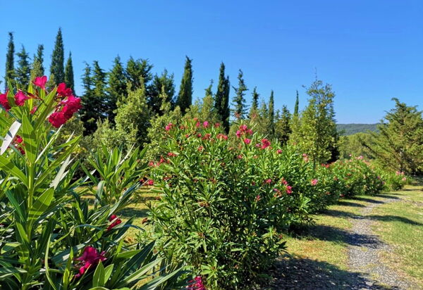 Villa San Martino: Giardino