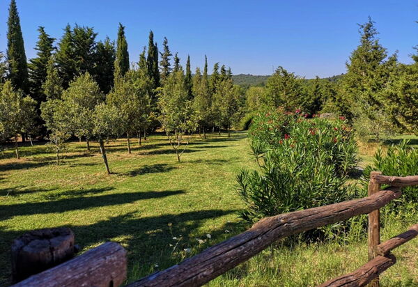 Villa San Martino: Giardino