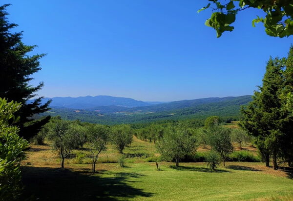 Villa San Martino: Giardino