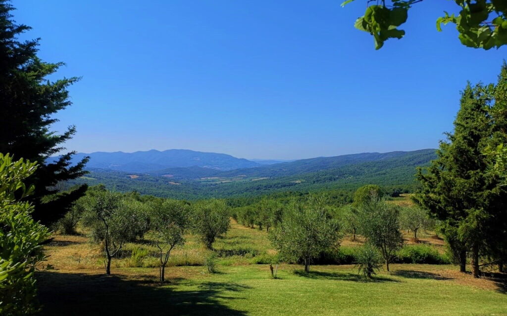 Villa San Martino: Garden