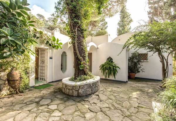 Villa Prestige '50: villa-prestige-50-capri-villa-garden