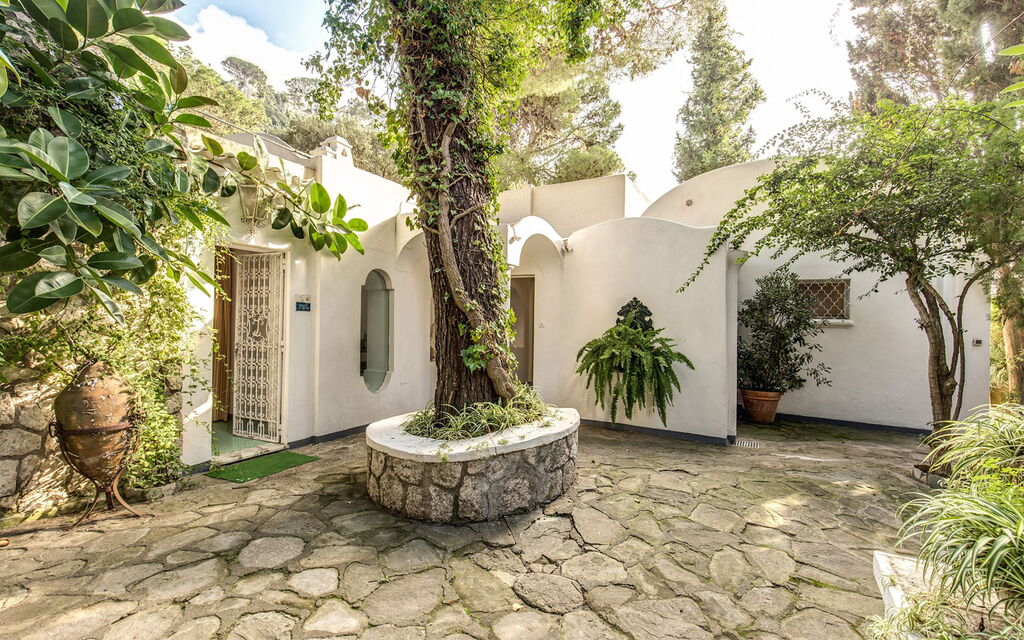 Villa Prestige '50: villa-prestige-50-capri-villa-giardino