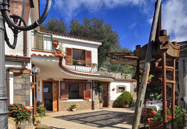 La Villa Dell'olio: la-villa-dell-olio-massa-lubrense-villa-esterno