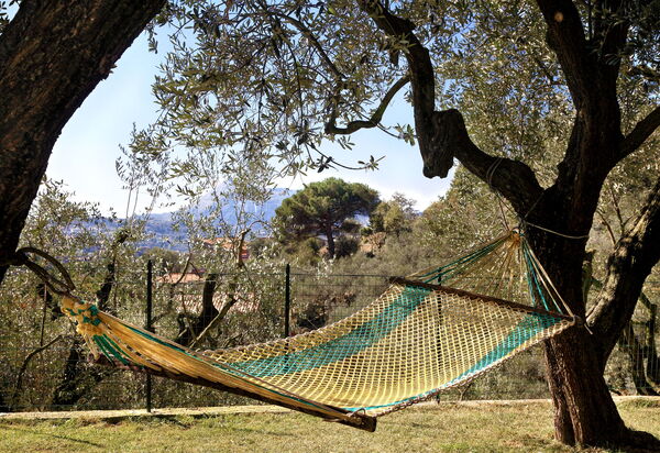 La Villa Dell'olio: la-villa-dell-olio-massa-lubrense-villa-esterno