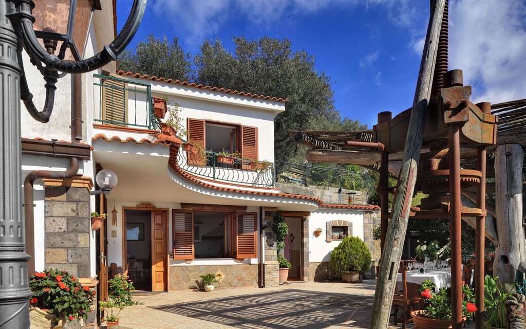 La Villa Dell'olio: la-villa-dell-olio-massa-lubrense-villa-esterno