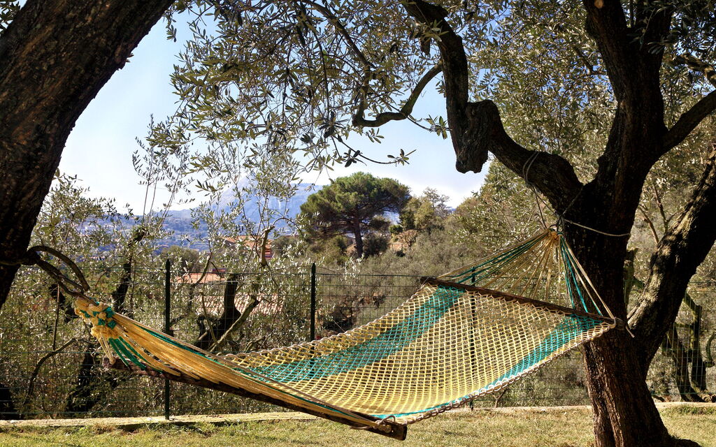 La Villa Dell'olio: la-villa-dell-olio-massa-lubrense-villa-esterno