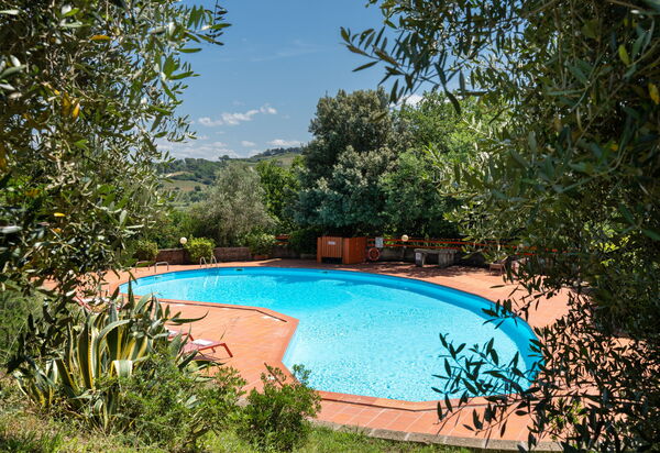 Villa Riparbella: Autunno, Estate, Esterni, Piscina, Primavera