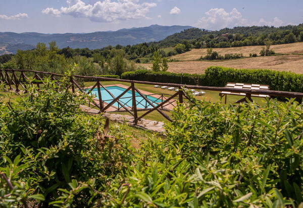 Il Casale Di Festa: il-casale-di-festa-doglio-villa-pool