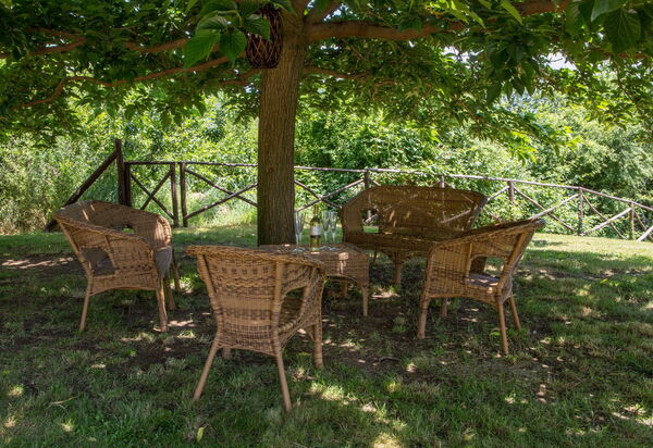 Il Casale Di Festa: il-casale-di-festa-doglio-villa-garden