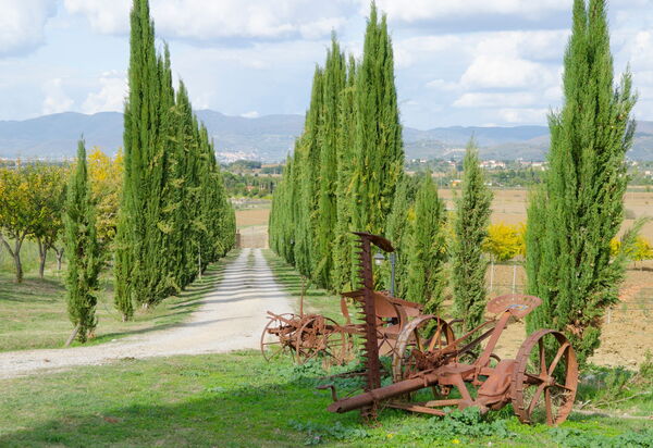 Relais Sogno Dei Fiori: relais-sogno-dei-fiori-fratticiola-cortona-villa-giardino