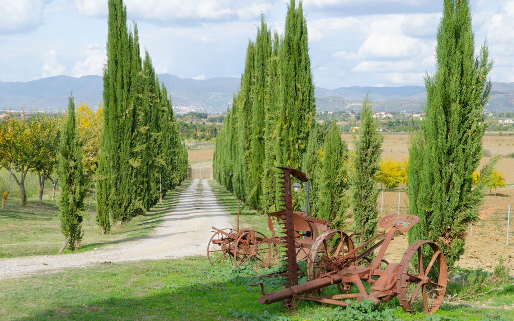 Relais Sogno Dei Fiori: relais-sogno-dei-fiori-fratticiola-cortona-villa-giardino