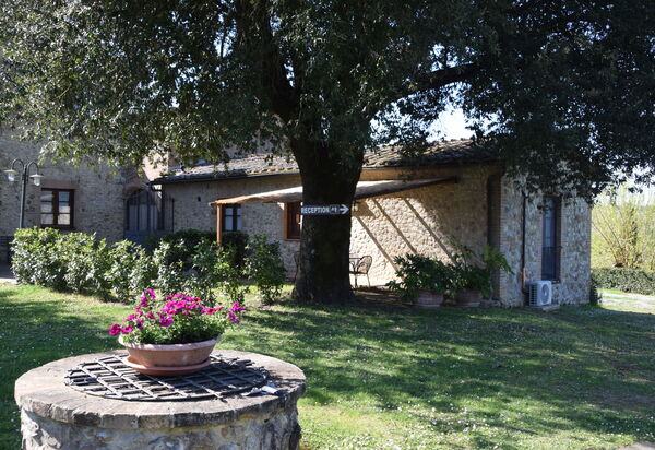 Rocche Di Valiano: rocche-di-valiano-chianti-castelnuovo-berardenga-multiproprietà-mimosa-giardino