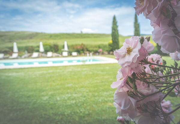 La Reggia Nel Podere: la-reggia-nel-podere-val-d-orcia-villa-garden