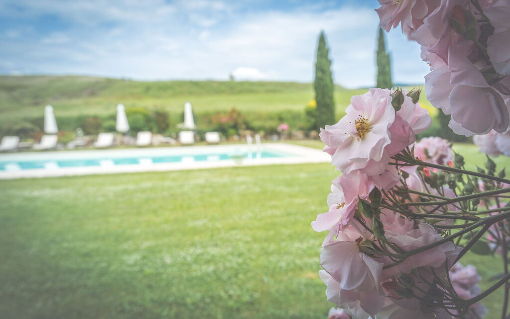 La Reggia Nel Podere: la-reggia-nel-podere-val-d-orcia-villa-garden