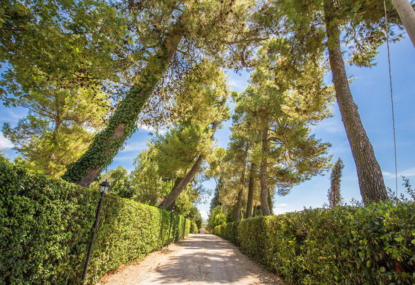 La Corte Del Grano: la-corte-del-grano-abbadia-villa-esterno