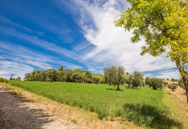 La Corte Del Grano: la-corte-del-grano-abbadia-villa-esterno