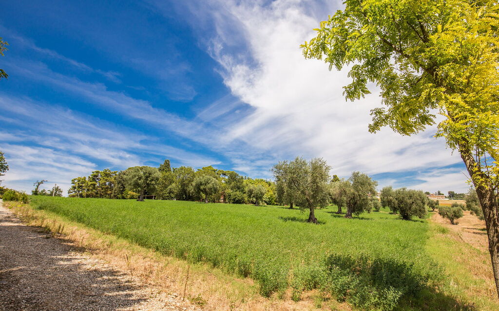 La Corte Del Grano: la-corte-del-grano-abbadia-villa-esterno