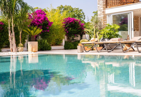 Villa Salento Shine: all'aperto, Entrata Principale, Esterni, Giardino, Piscina