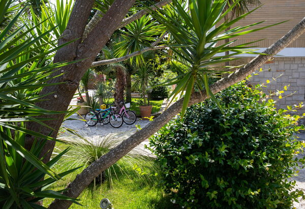 Villa Salento Shine: all'aperto, Esterni, Giardino