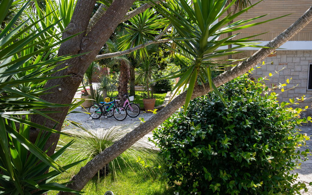 Villa Salento Shine: all'aperto, Esterni, Giardino